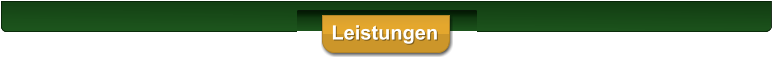 Leistungen